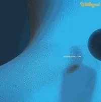 Mini High Performance Muscle Massager