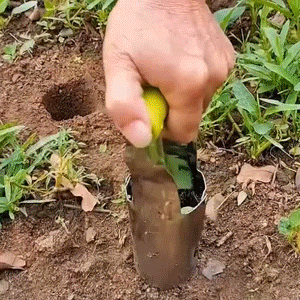 Multipurpose Sowing And Transplanting Tool