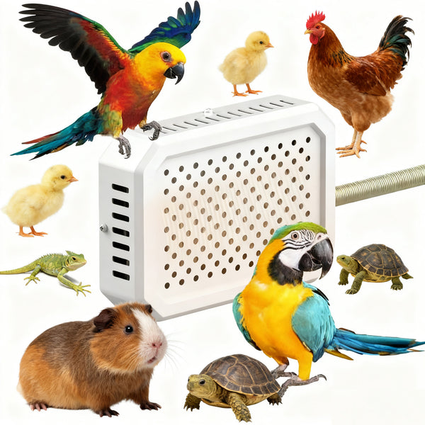 Bird House Heater Warming Thermostatic Chick Heater Poultry Habitat Supplies For Macaw Parakeet Guinea Chicken Lizard Roosting