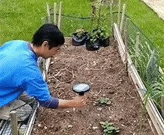 2Pcs/3Pcs/4Pcs Outdoor Solar Power Ultrasonic Mole Repellent Gopher Rat Snake Bird Mosquito Mouse Repellent