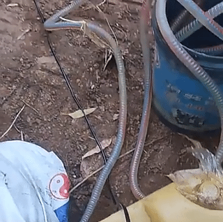 Portable Mini 12V 24V DC Electric Submersible Pump For Pumping Diesel Oil Water Aluminum Alloy Shell 12L/min Fuel Transfer Pump