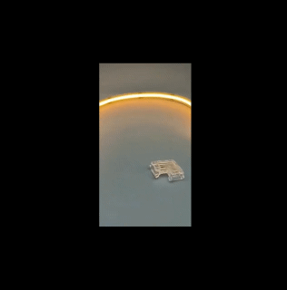 10PCs 2Pin LED Strip Connector L Shape COB Light Strip Joint for 10mm 8mm 5mm 90 Degree Corner Free-Soldering Quick Easy Connecting