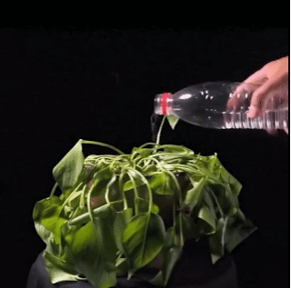 Soil Activator Soil Activated Fertilizer Potassium Fulvate Potassum Fulvic Acid Potassum-FA Improve Soil Compaction Hardening PH