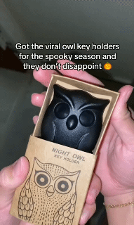 2Pcs Owl Key Hook Key Holder Hooks Hanging Keys It Will Open Eyes Hooks Home Decor