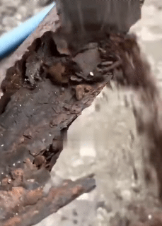 350g No Sanding Renovation and Color Change Rust Remover Paint Water-Based Metallic Paint Rust Remover 8 Colors Quick-Dry Metal Anti-Corrosion Rust Prevention Paint