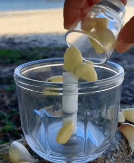 Fast & Easy Food Processor for Garlic Chili Ginger Onion Mini Chopper Vegetable Cutter Electric Chopper Food Chopper Processor