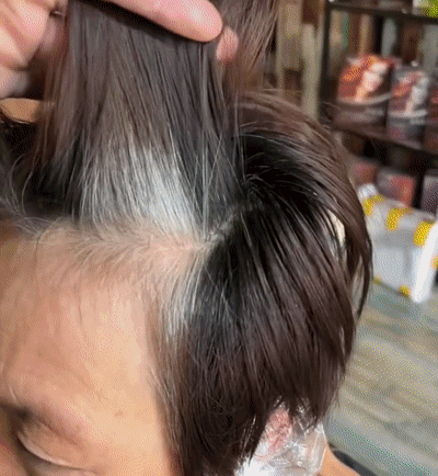 Christmas Gift 10 PCS Plant Bubble Hair Dye Shampoo Hair coloring has never been so easy, all you need to do is wash your hair!