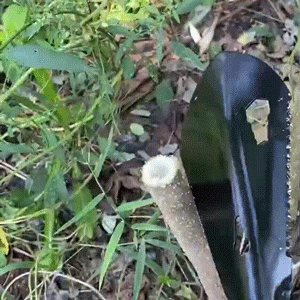 Multipurpose 6 in 1 Gardening Shovel Outdoor Shovel for Gardening Outdoor Adventure