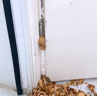 Effortless Handheld Nutcracker Alloy Clamp Kitchen Nutcracker Sheller Clip Clamp Plier Cracker Pecan Hazelnut Crack Tools