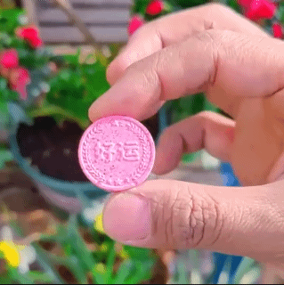 22Pcs/Bott 100g Gardening Universal Slow-Release Tablet Organic Fertilizer Plant Flowers Nitrogen phosphorus potassium slow release agent