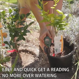 3 in 1 Soil Tester Soil Water Moisture Light PH Meter Tester Analyzer Test Detector for Garden Plant Flower Hydroponic Testing Instrument