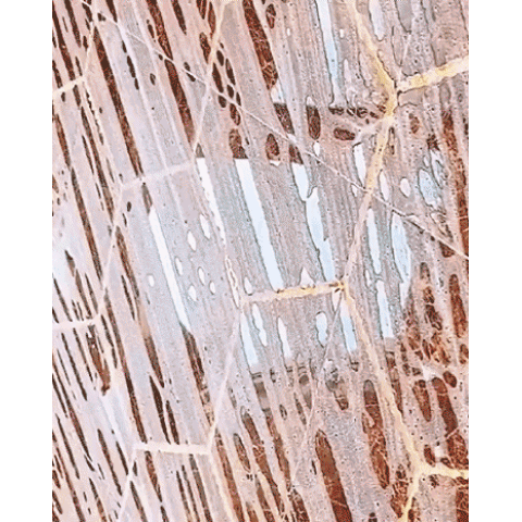 500ml Floor Cleaning Maintenance Agent Multi-Effect Floor Cleaner