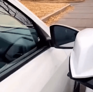 120ml Car Paint Care Nano Repairing Spray Oxidation Liquid Ceramic Coat Hydrophobic Glass Protect Your Car From Scratching Auto