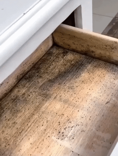 500ml Mildew Stain Remover Active Mildew Mould Removal Foam Spray Long-lasting Effect Wall Mold Remover Mold For Tile Seams