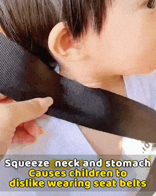 Seat Belt Adjuster For Kids & Adults