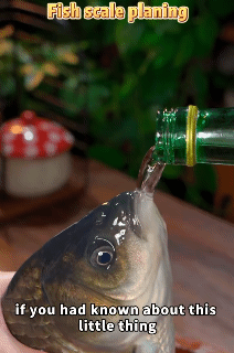 Kitchen Fish Scale Remover Stainless Steel Fish Scale Remover Cleaner Scraper Kitchen Peeler Tool Kitchen Fish Scale Gadgets