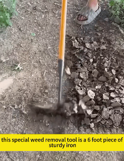 5/6/7/8 Teeth Agricultural Rake Soil Loosening Weeding Tool Manganese Steel Garden Weeding Rake Multi-use Agricultural Straw Hoe