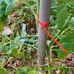 100pcs  200 mm x 5 mm Self-Locking Nylon Wire Cable Zip Ties White Black Organiser Fasten Cable Speedclick Reusable 6 Color