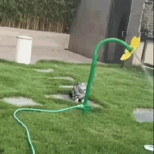 Crazy Flower Sprinkler with Water pipe fittings