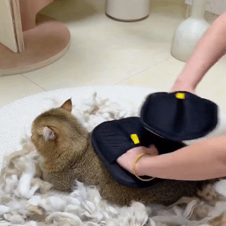 Pet House Mat Hair Removal Gloves Pet Frooming Hair Removal Double-sided Gloves