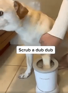 Pet Automatic Paw Washer | Electric Silicone Paw Cleaning Tool Quickly cleans dog paws Non-slip and dirt-proof Essential for home and travel