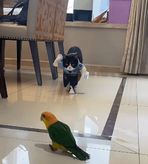 Funny Pet Costume Cat Police Officer Uniform Dog Police Car Outfit Cat Small Dog Creative Apparel Party Photo Prop