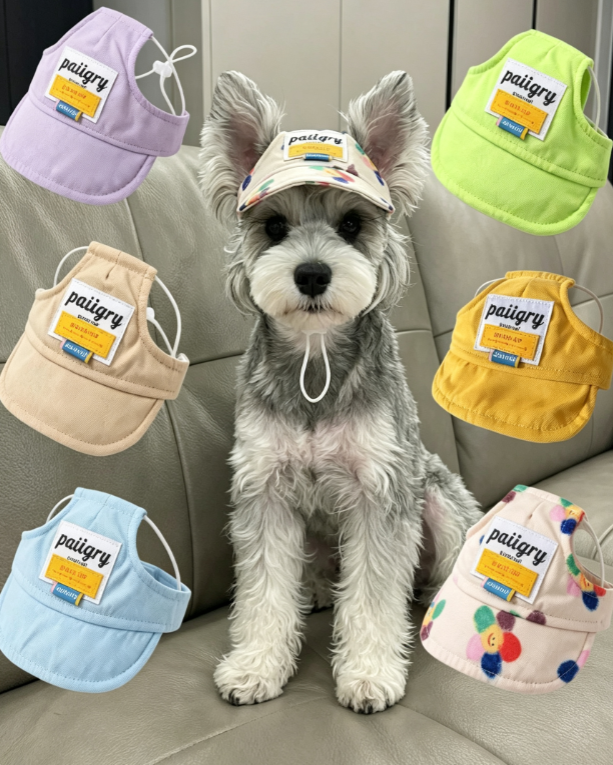 Cute Pet Sun Hat