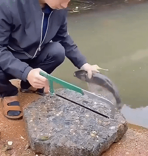 Stainless Steel 3 In 1 Fish Maw Cleaning Tool