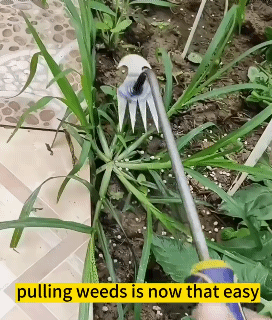 Long Wood Handle Stainless Steel Garden Weeder Hand Weeding Removal Cutter Puller Tools Multifunction Weeder Transplant