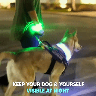 Adjustable Luminous Collar LED Dog Collar USB Rechargeable Bright & High Visibility Lighted Glow Collar for Pet Night Walking