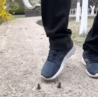 Flat Chisel Multi-purpose Alloy Steel Chisel