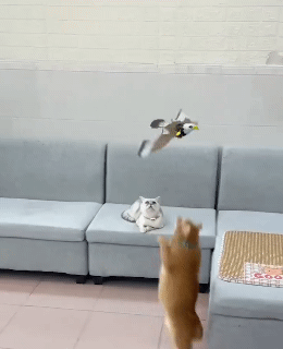 Garden Bird Simulation Interactive Hanging Parrot/Eagle Flying Toy for Cats Simulation Bird Interactive Cat Toy