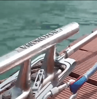 Dock Hook Multi-Purpose Telescoping Boat Hook Long Distance Threader Mooring Rope Cable Wire Guider Fishing Rod Pole Reel Tool