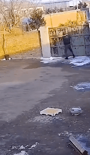 Ultrasonic Dog Repeller Handheld Barking Stop Luminous included Battery