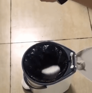 2Pcs Wooden Shoe Stretcher Shoe Stretcher Wooden Shoes Tree Shaper Rack Pine Wood Shoe Tree Adjustable Flats