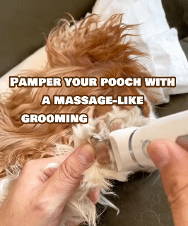 4 in 1 Electric Pet Hair Trimmer Grooming Clippers Cat Trimer Nail Grinder Professional Rechargeable Haircut Machine For Dogs Cats