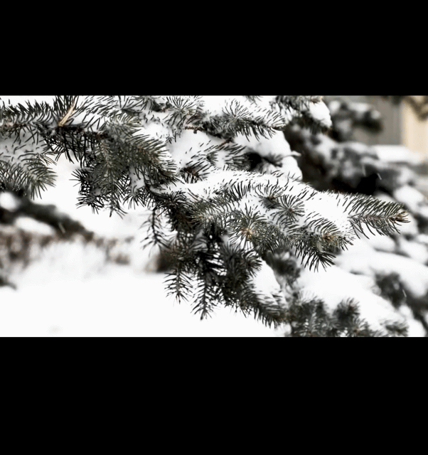 10Meters Door Window Seal Strip DIEP Self-adhesive Acoustic Foam Sealing Strip Tape Insulation Windproof Rubber Weatherstrip