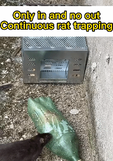 Automatic Continuous Cycle Mouse Trap Household Shock Trap Reusable Farmland Warehouse Pest Control Mousetrap Catcher Mouse Trap