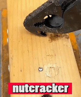 6/8Inch End Cut Nippers Top Cutting Pincers Pliers Manual Nail Pulling Pliers Flat Mouth Nail Lifting Labor-Saving Walnut Pliers