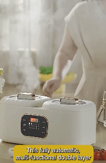 2L+2L Automatic Multi-Functional Double-Liner Cooker Household Intelligent Touch Screen Non Stick Electric Cooking Pot