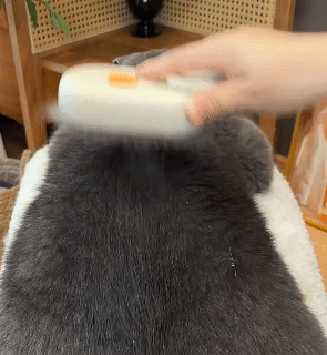 Pet 3 In 1 Hair Removal Steam Massage Brush Cat Dog Cleaning Steamy Spray Massage Beauty Comb