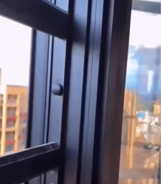 100Pcs Nail Screws Hidden Cover Protective Cover Phillips Screws Decorative Folding Cover