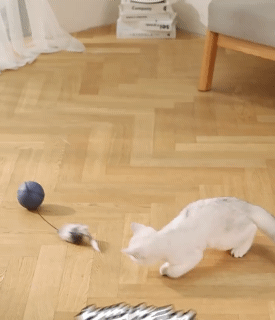 Smart Interactive Cat Toy Ball With Mice Automatic Rolling Wicked Balls Anti-Bite Cat Toys Indoor Cat Ball Toys