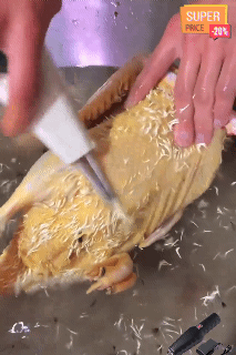 Electric Quick Feather Plucker Hair Extractor Handheld Chicken Duck Goose Short Hair Removing Machine Poultry Hair Remove Tools Rechargeable