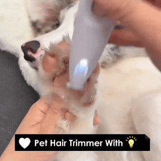 Pet Shaver Waterproof Rechargeable with LED Light