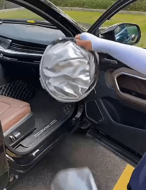 UV Protection Car Sunshade