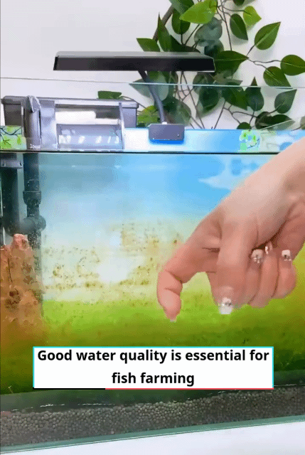 300ml Aquatic Weed Algae Remover Fish Tank Removes Green Algae Fish Pond Algaecide Moss Removal