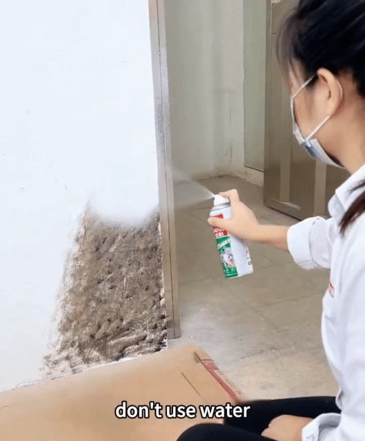 3Pcs Wall Repair Spray Wall Crack Peeling Repair Mold White Paint Household Wall Graffiti Repair Environmental Protection Paint