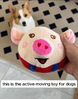 Pet Smart Dog Cat Toy Electric Automatic Plush Bouncing Toys Interactive Toys Self-moving Kitten Toys for Indoor Playing Dog Toys