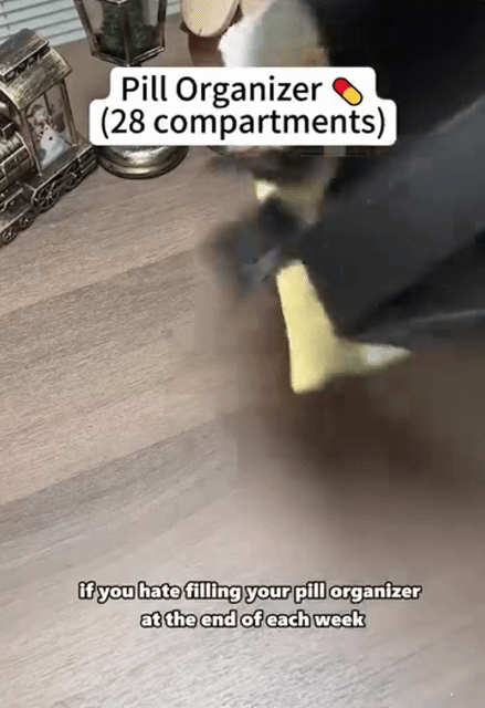 Moisture-Proof 4-Week Pill Box Weekly 28-Compartment Large-Capacity Portable Dispenser Pill Box Travel Monthly Pill Organiser